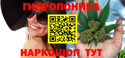 МДПВ Владимир