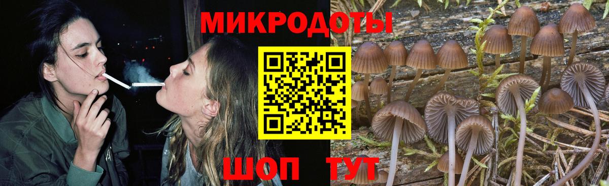 Псилоцибиновые грибы Cubensis Асбест