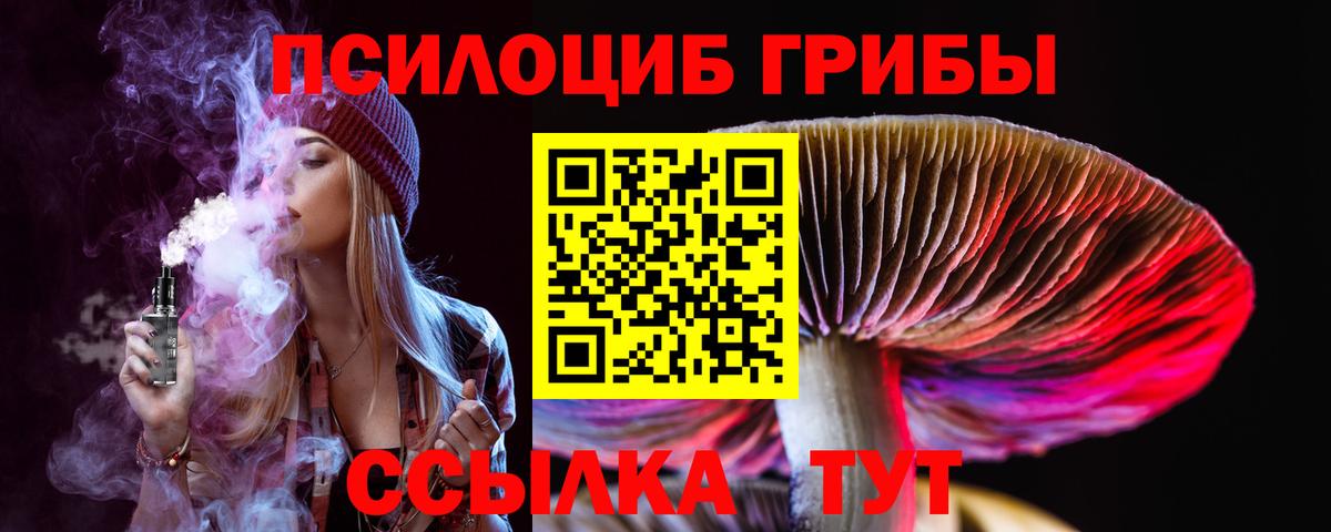 Псилоцибиновые грибы прущие грибы  Вход с VPN  Асбест  Псилоцибиновые грибы Cubensis 
